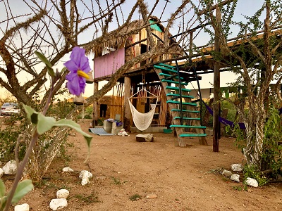 Baja treehouse