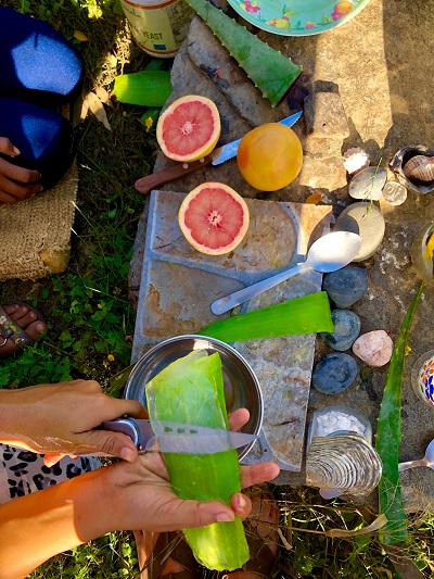 Aloe Breakfast