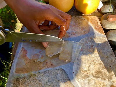 Slicing Aloe