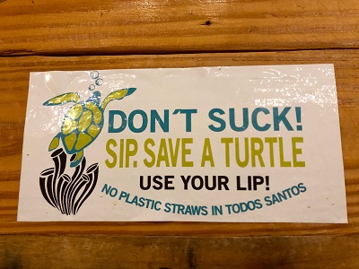 Sea Turtle straw