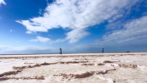 Baja Salt Flats