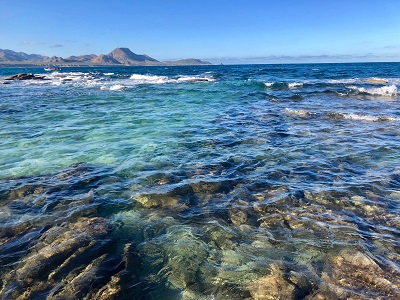 Cabo Pulmo Snorkel