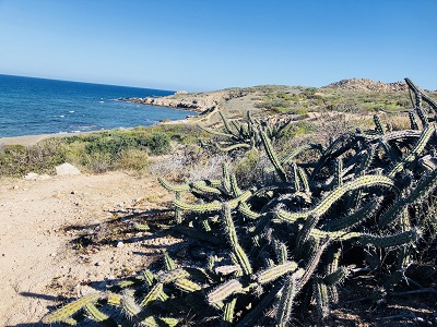 Cabo Pulmo snorkeling