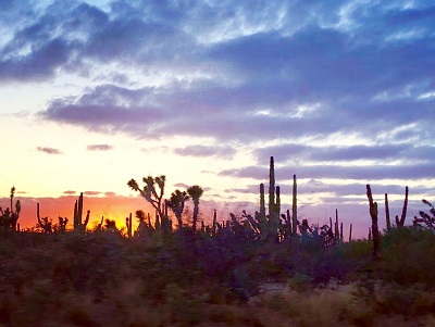 Desierto Vizcaíno