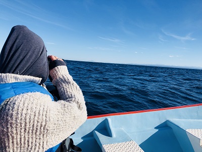 whale watching Baja