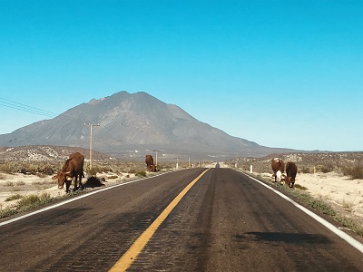 Mulege Tres Virgines